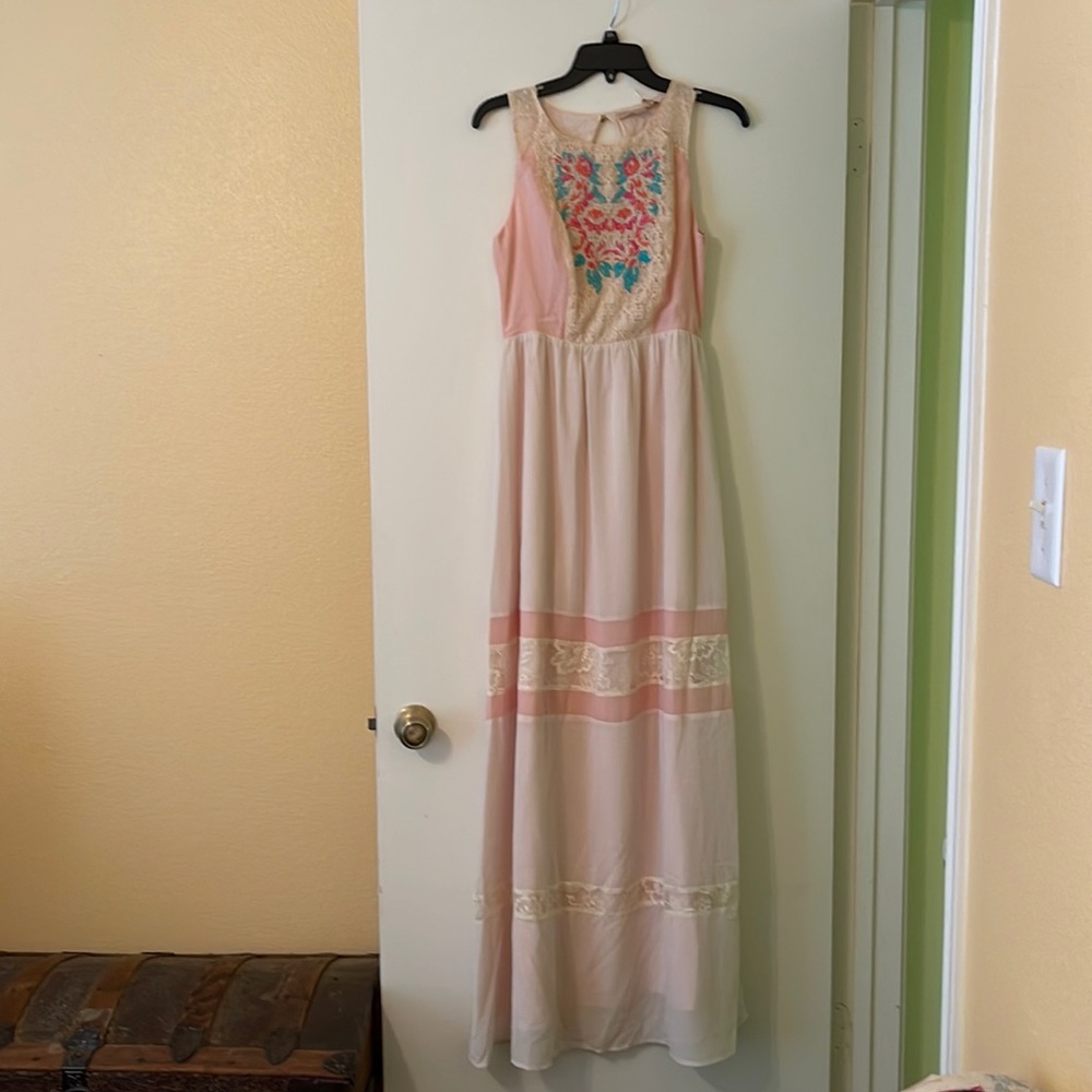NWT Anthropologie Champagne & Strawberry Dress M
